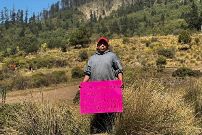 Esta acción se viene cometiendo por grupos de talamontes 