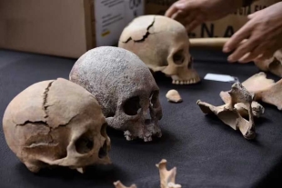 Los restos encontrados, provenientes de 104 enterramientos