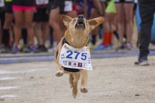 Chicles” comenzó a cobrar relevancia gracias a clips virales en los que se le apreciaba corriendo maratones