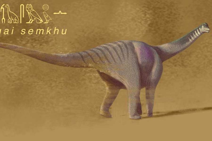 Científicos retoman investigación de 1977 y descubren un Titanosaurio africano