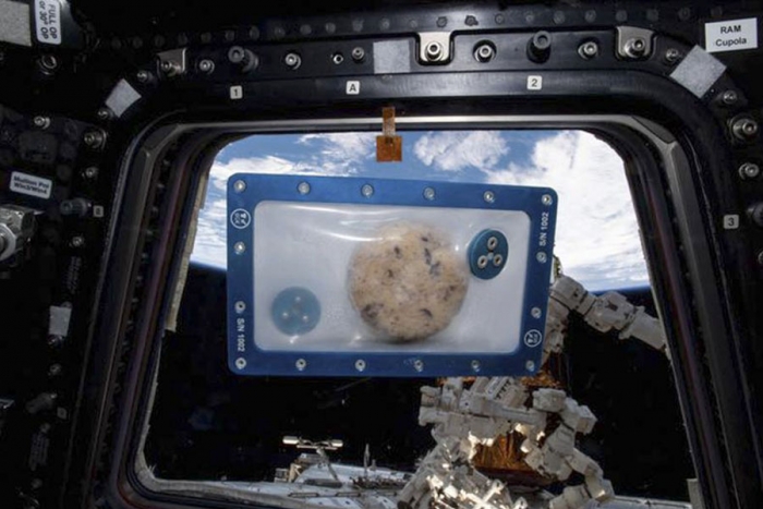 Galletas: experimento en el espacio