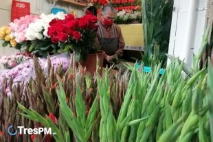 La venta de flores ha disminuido considerablemente debido al COVID-19