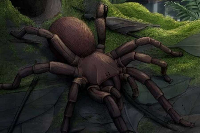 ¡Ay nanita! Encuentran el fósil de una araña gigante en Australia