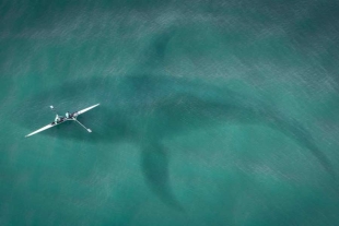 ¿Megalodón, eres tú? Escáner capta enorme y misteriosa sombra en el océano atlántico