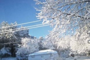 Chihuahua se viste de blanco con las primeras nevadas de la temporada