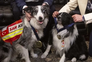 ¡Gracias por todo! “Orly” y “Balam” reciben medallas por su labor en Turquía