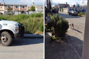 Hallan cadáver en un predio de San Cristóbal Huichochitlán