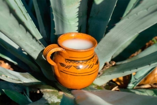 Historia del pulque: conoce los detalles de esta bebida mexicana