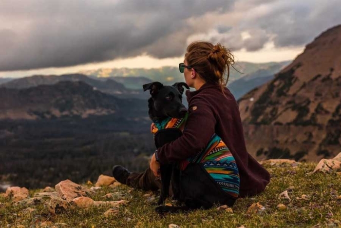 Las mascotas generan un impacto positivo en la salud mental