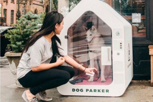 Con esta casa tú perro estará cómodo y libre de COVID