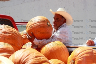 Adorno de temporada