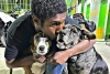 ¡Bravo! hombre sin hogar que festejó cumpleaños con sus perritos es recibido en refugio