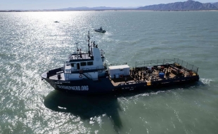 “Seahorse”: Conoce el nuevo barco encargado de proteger a la vaquita marina