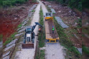 Denuncian tala indiscriminada de árboles para proyecto del Tren Maya