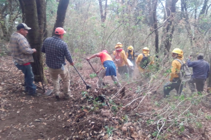 Sofocan incendio en la Sierra de Guadalupe