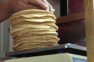 Actualmente las amas de casa, adquieren el kilo de tortilla entre los 20 y 22 pesos