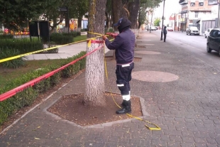 Parques de Toluca permanecerán cerrados por contingencia