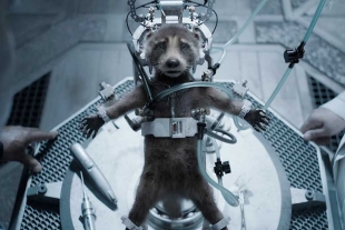 ¡Merecido! PETA premia a James Gunn por su mensaje en “Guardianes de la Galaxia Vol.3”