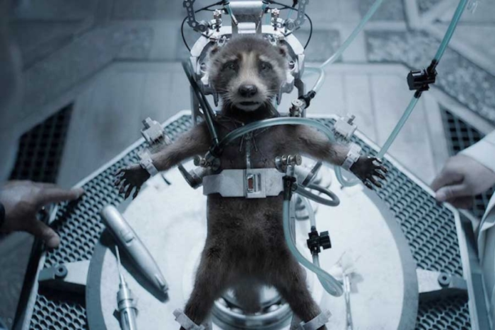 ¡Merecido! PETA premia a James Gunn por su mensaje en “Guardianes de la Galaxia Vol.3”