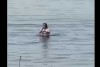 Ignora advertencias y se mete a nadar en laguna de Zumpango