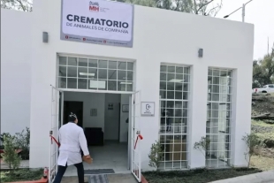 Primer crematorio público para mascotas en CDMX