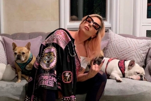 Lady Gaga ofrece medio millón de dólares por recuperar a sus perros