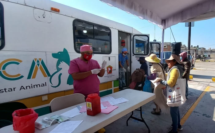 Una unidad con quirófano móvil, perteneciente al Centro de Control y Bienestar Animal, recorrerá Toluca para esterilizar mascotas sin costo.
