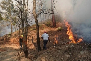 Continúan incendios en inmediaciones del Valle de México