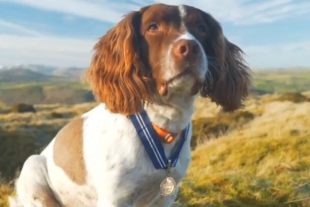 Max, el primer perro que recibe una Orden de Mérito animal
