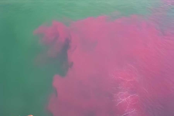 Interesante: Canadá tiñe un puerto de color rosa para luchar contra el cambio climático