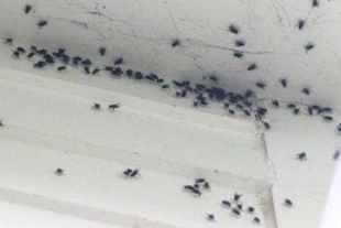 En el lugar, maquinaria y cuadrillas de la CAEM y Conagua continúan realizando labores de movimiento de tierra y lodo