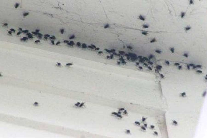 En el lugar, maquinaria y cuadrillas de la CAEM y Conagua continúan realizando labores de movimiento de tierra y lodo