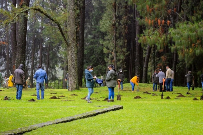 Edomex y Plant for the Planet renuevan convenio para el desarrollo forestal sustentable