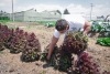 Fortalece UAEM alianzas estratégicas para la formación de capital humano del sector agrícola