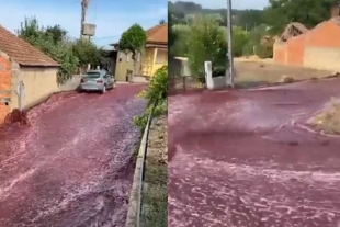 Rio de vino tinto inunda las calles de un pueblo de Portugal