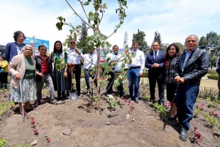 Autoridades acudieron a la delegación Árbol de las Manitas para develar una placa conmemorativa con motivo de este reconocimiento.