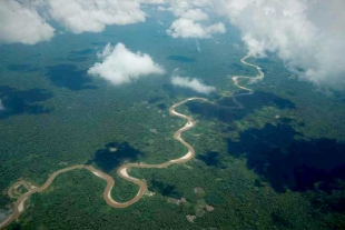 La coordinadora técnica de MapBiomas Perú, Andrea Bravo, precisó que el 79.1% del territorio peruano aún está cubierto por vegetación natural