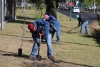 Celebra Metepec el Día Mundial del Medio Ambiente plantando árboles