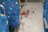 Chofer  y su ayudante heridos en asalto a transporte público en Colinas del Sol