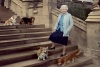 “Happy Hounds”: el lujoso perfume para perros que creó la Reina Isabel II