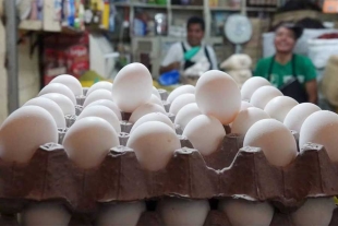 Se comercializa una cartera de huevos con 30 piezas, en 60 pesos. 