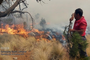 Suman autoridades y servicios de emergencia esfuerzos para combatir incendio en ejido de San Juan de las Huertas