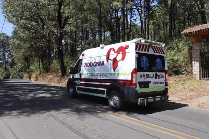 La unidad de emergencia, cuenta con equipo para brindar el apoyo necesario a los animales