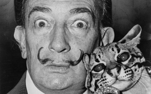 ¡Ah, caray! El excéntrico gato de Salvador Dalí era en realidad un ocelote