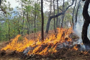 Afectadas más de 3 mil hectáreas por incendios forestales en el Edoméx