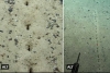 Descubren unos misteriosos agujeros alineados en el fondo del Atlántico
