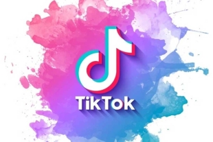 El programa llevará por nombre TikTok Notes