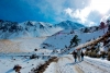 Vulnerable Nevado de Toluca por tala, urge estudio técnico