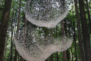 5 mil gotas de agua cuelgan de este bosque italiano