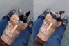 Solo en México; perrita es captada viajando en el metro dentro de un garrafón